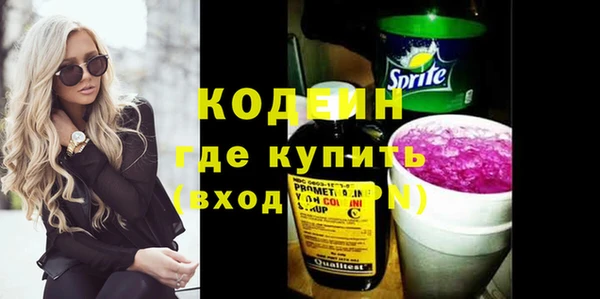 хмурый Богородицк