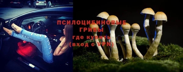 эйфоретик Богородск