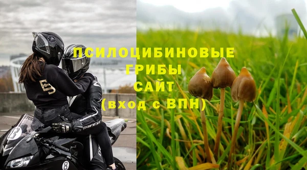 кокаин Богданович