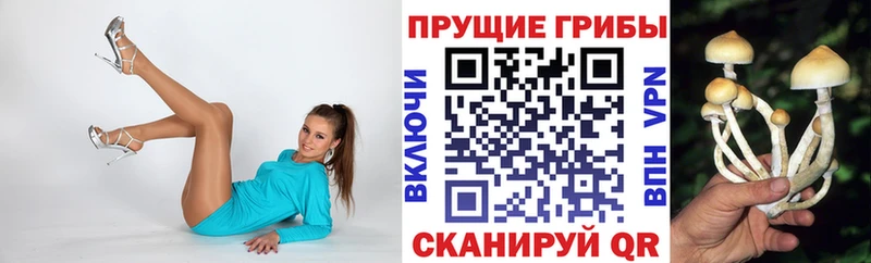 купить наркотик Кондрово Галлюциногенные грибы мицелий